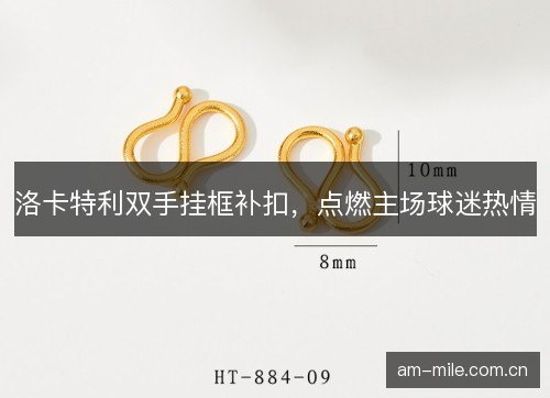 洛卡特利双手挂框补扣，点燃主场球迷热情